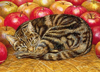 Right-Hand Apple-Cat by Ditz