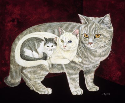 Russian Cat by Ditz