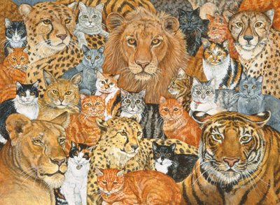 Semi Wild Cat Spread by Ditz