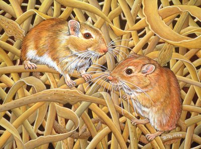 The Gerbils by Ditz