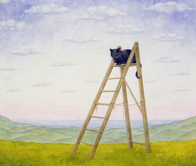 The Ladder Cat by Ditz