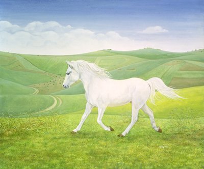 The Landscape Horse by Ditz