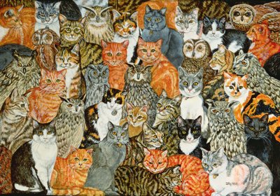 The Owls and the Pussycats by Ditz