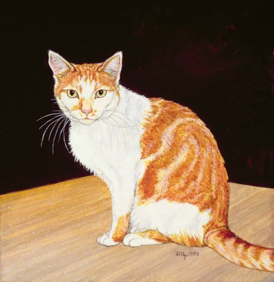 Thomas by Ditz