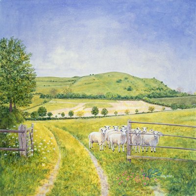 Wessex Sheep by Ditz