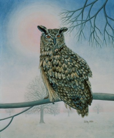 Winter-Owl by Ditz