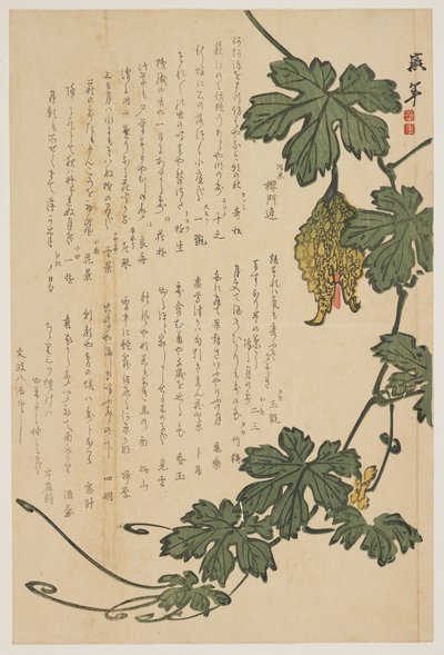 Bitter Melon by Dodo Hirotoshi