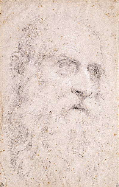 The Head of Saint Jerome by Domenichino