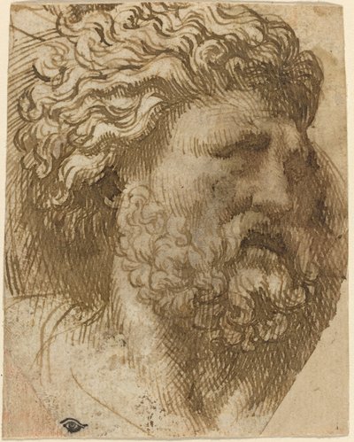 Head of a Man by Domenico Campagnola