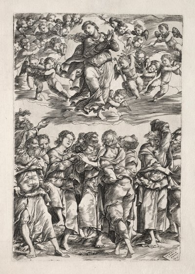 The Assumption of the Virgin by Domenico Campagnola
