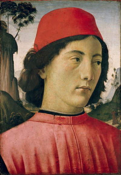 Portrait of a Young Man by Domenico Ghirlandaio