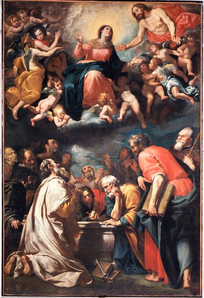 The Assumption by Domenico Il Sarzana Fiasella