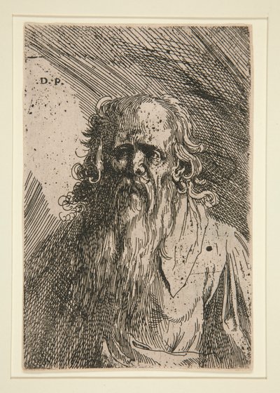 Old Man with a Beard by Domenico Piola