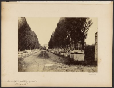 Ancient Cemetery of Arles, Alyscamps by Dominique Roman