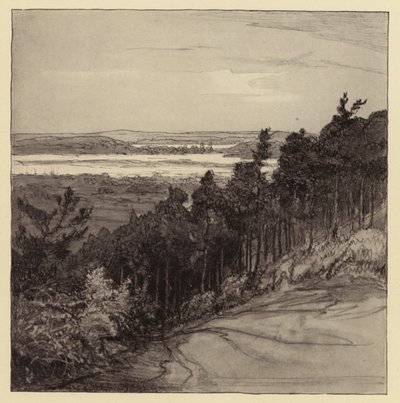 Poole Harbour from Parkstone by Donald (after) Maxwell