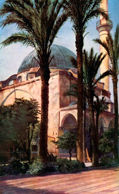 Jezzar Pasha mosque, Acre, Palestine by Donald McLeish