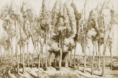 Road Song No. 5 by Donald Shaw MacLaughlan