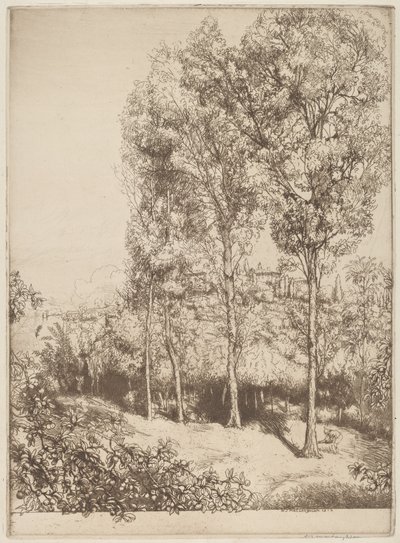 Sunlight and Shadows, No. 3 by Donald Shaw MacLaughlan