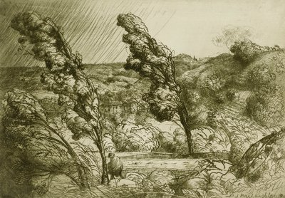 The Tempest by Donald Shaw MacLaughlan