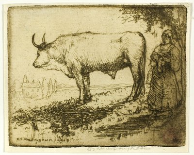 The White Ox by Donald Shaw MacLaughlan