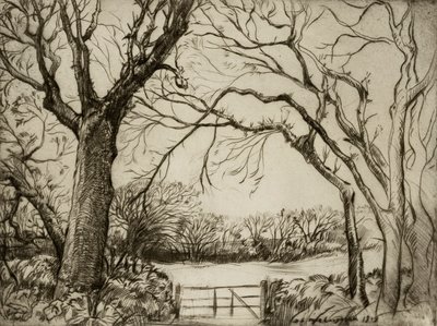 Tragenna Wood by Donald Shaw MacLaughlan