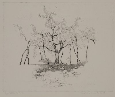 The Apple Tree by Donatella Merlo