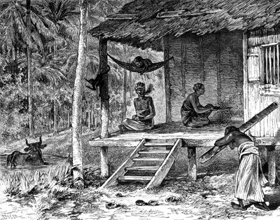 Malaysian hut, 19th century by Dosso
