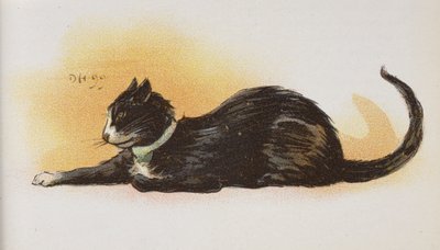 A Cat by Dudley Hardy