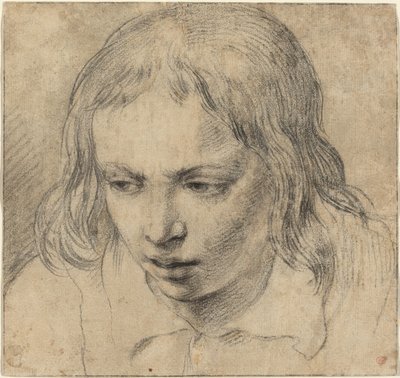 Head of a Young Man by Dutch 17th Century