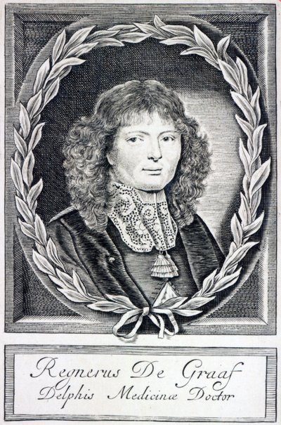 Regnier de Graaf, c.1670 by Dutch School