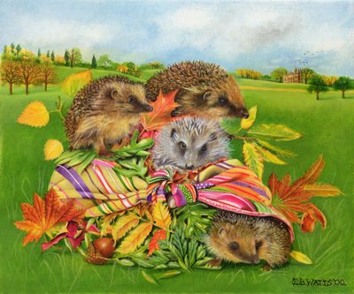 Hedgehogs Inside Scarf, 2000 by E.B. Watts