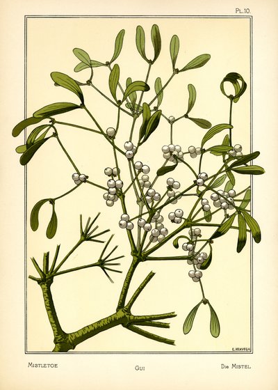 The Mistletoe by E. Hervegh