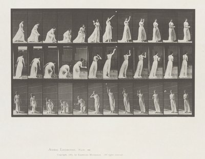 Animal Locomotion, Plate 305 by Eadweard Muybridge