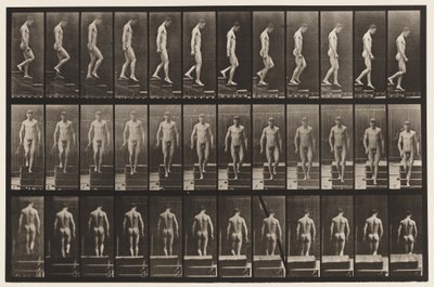 Plate 125. Descending Stairs by Eadweard Muybridge