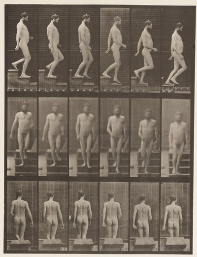 Descending Stairs by Eadweard Muybridge