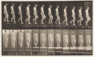 Plate 129. Descending Stairs, Hands Clasped by Eadweard Muybridge