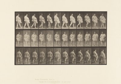 Walking, Commencing to Turn Around (Plate 19) by Eadweard Muybridge