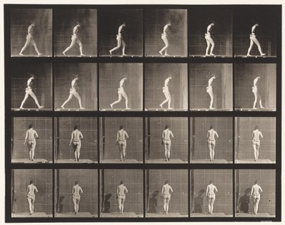 Walking, Right Elbow Bent by Eadweard Muybridge