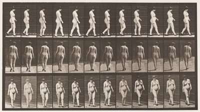 Plate 24. Walking with High-Heeled Shoes On by Eadweard Muybridge