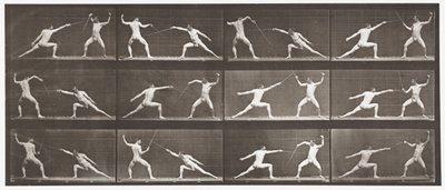 Fencing by Eadweard Muybridge