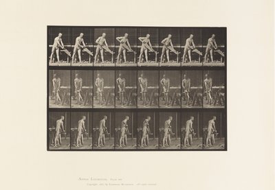 Carpenter, Sawing by Eadweard Muybridge