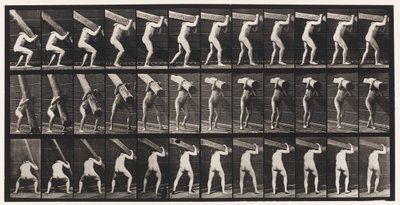 Plate 383. Lifting A Log on Shoulder by Eadweard Muybridge