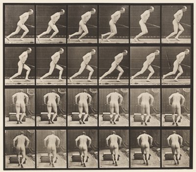 Pushing a Garden Roller by Eadweard Muybridge
