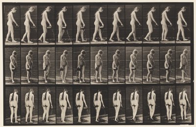 Plate 42. Walking, Pouring Water from Pitcher by Eadweard Muybridge
