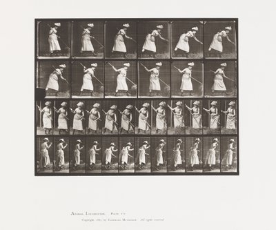 Raking Hay by Eadweard Muybridge