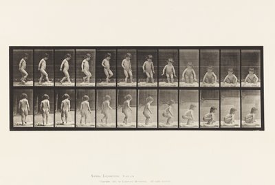 Plate 476. Child, Sitting Down on the Ground by Eadweard Muybridge