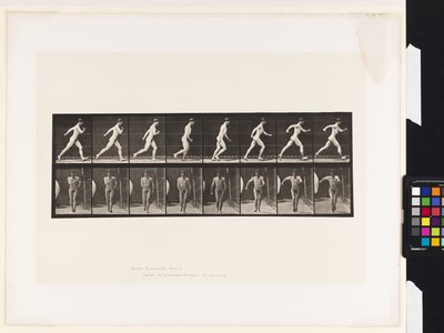 Plate 4. Walking by Eadweard Muybridge