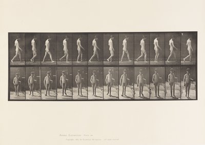 Epilepsy; Walking by Eadweard Muybridge