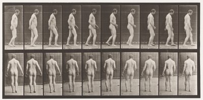 After Traumatism of Head; Walking by Eadweard Muybridge