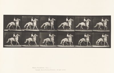 Ambling by Eadweard Muybridge